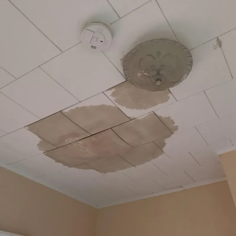 Ceiling Water Damage Repair in Pinewood Estates, TX