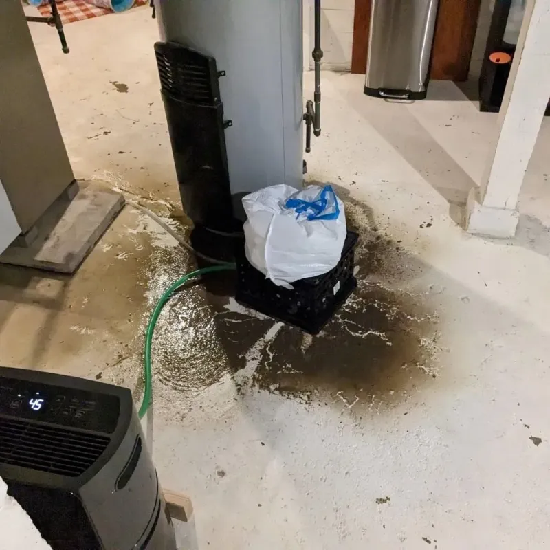 Sewage Backup Cleanup Service in Pinewood Estates, TX